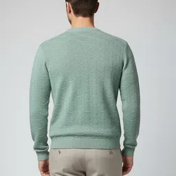 unniberry Men Self Design Round Neck Light Green Sweater image 2
