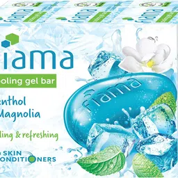 fiama Cooling Menthol & Magnolia Soap Gel Bathing Bar, For Moisturized Skin-picture-19