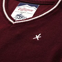 roadster Men Solid V Neck Maroon Sweater image 3