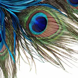 BELLA TRUE White & Blue Set of 2 Quirky Room Darkening Window Curtain image 3