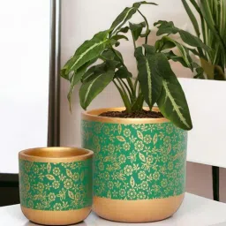 Pack Of 2 Green Terracotta Desk Pots-image-83