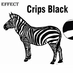 HRK AAA GT51 Refill Ink for HP 115, 310, 315, 319, 410, 415, 416, 419 Printer Black Ink Cartridge image 2