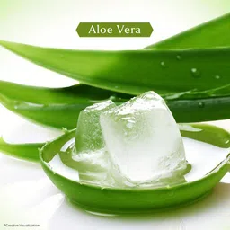 vivel 8 cream Aloe Vera Soap image 5