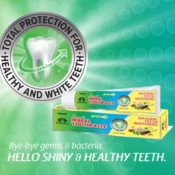 jagat Devsutra Dentist Recommended Ayurvedic HERBAL Mint Flavored Toothpaste Combo Pack Offer - 100% Natural Teeth Whitening Formula, No Fluoride & No Artificial Colours Toothpaste image 5
