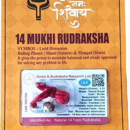 robin collection Sterling Silver Beads Wood-picture-18