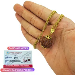 guruji imitation company Original 6 Mukhi Nepali Rudraksha six Face Rudraksh Gold-plated Beads Brass, Wood Locket image 2