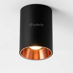 hybrix LED (12W) Rose Gold Indoor/Outdoor Surface Drum/Cylinder Light, Warm White, 1 Downlighter Ceiling Light Ceiling Lamp-picture-44