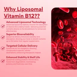 west-coast WestcoastLiposomal Vitamin B12 500 mcg with Methyl Folate 400 mcg & Vitamin B6 – Advanced Liposomal Technology for Superior Absorption – Supports Energy, Brain & Nerve Health, Immunity & Red Blood Cell Formation – For Men & Women – 30 Tablets image 3
