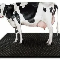 hakex Cow Mat Waterproof Rubber Mat 8*5 Feet BPA Free For_Horse | Cow, Dog, Hamster, Guinea Pig, Miniature Pig Pet Mat-picture-14