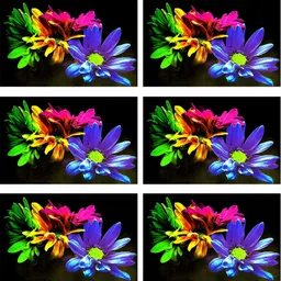 flipkart smartbuy Rectangular Pack of 6 Table Placemat image 5