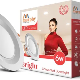 murphy Recessed Ceiling Lamp-picture-14