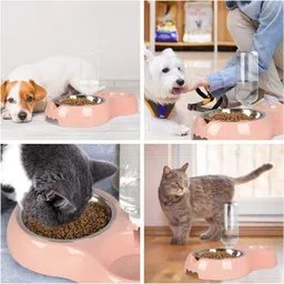 trivyom Pets Food Bowl with Automatic Water Feeder for Small Medium Plastic Pet Bowl & Bottle image 5