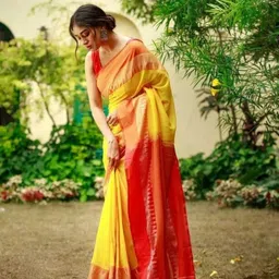 adbutiq Woven Handloom Handloom Pure Cotton Saree-picture-10