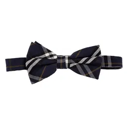 Alvaro Castagnino Men Striped Bow Tie image 3