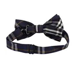 Alvaro Castagnino Men Striped Bow Tie image 4