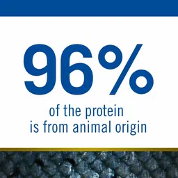farmina N&D Ocean - Codfish, Pumpkin & Orange - Grain Free - Dog Dry Food - Adult - Mini Breed Orange Blossom, Cod 0.8 kg Dry Adult Dog Food image 5