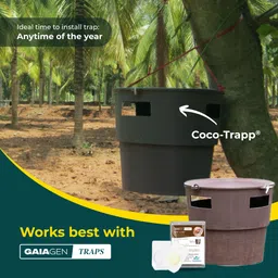 gaiagen RPW Lure- Pheromone for Red Palm Weevil (Rhynchophorus ferrugineus) image 4