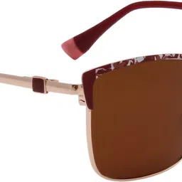 ted smith UV Protection Cat-eye Sunglasses (54) image 4