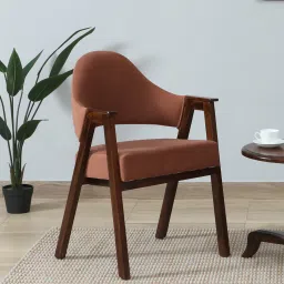 woodsworth from pepperfry Ritzing Sheesham Wood Arm Chair In Walnut Finish And Mocha Mousse Colour image 1