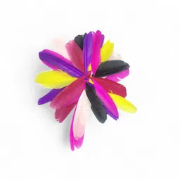 divaura Set OF 2 Natural Dyed Craft Project Shuttle Feathers Making for Decorations image 5