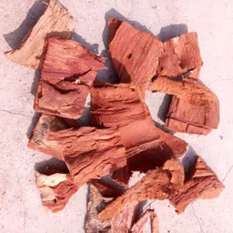 sv enterprises org Arjun ki chhal, Arjun chal, Arjuna, Arjun bark Seed image 3