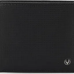 allen solly Men Casual Black Genuine Leather Wallet-picture-21