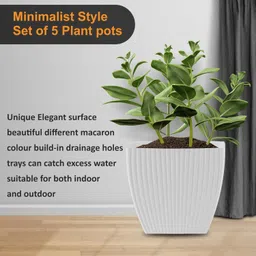 flipkart smartbuy Set Of 5 Square Flower Pots Outdoor Indoor, Planters with Drainage Hole and Tray Plastic Vase image 4