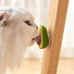 pet guard Avocado Cat Catnip Toys, Grinding Teeth Cleaning Cat Toys Plastic Chew Toy For Cat image 5