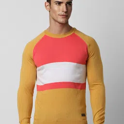 Peter England Casuals Colourblocked Crew Neck Long Sleeves Pullover Sweater-image-83