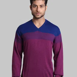 Park Avenue Men Purple And Blue Colourblocked Wool Pullover Sweater image 1