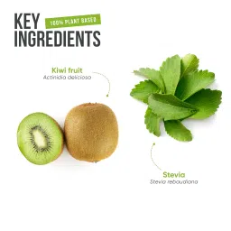 Healing Hands KiwiBiotic Prebiotic Juice for Healthy Gut and Immunity - 500 ml with Kiwifruit Nutrients, Insoluble & Soluble Prebiotic Fibers, Supports Digestion & Gut Health image 3