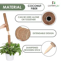 Garden Art Pack of 2 Moss Stick,Coir Pole GACP-45 | 45cm Long for Plants Monstera, Coco Coir Moss Poles for Climbing Plants/Creepers | Plant Support Extension to Grow Upwards image 1