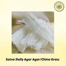 SatvaDaily Agar Agar Strips 20g, China Grass Strips Perfect For Jelly | Jelly Maker | Halwa Grass | Agaru | Veg Gelatin Alternative, Agar Agar For Pudding Jelly | Veg Gelling Agent | Plant Based Gelatin Alternative for Jellies and puddings image 2