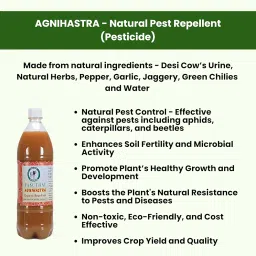 PASUTHAI Agnihastra Organic Pest Repellant (1L) for all plants | Controls Aphids, Caterpillars, Leafhoppers, Mites, Whiteflies, Mealybugs | High Crop Yield | ISO 9001:2015 Certified Naati Hasu Goshala image 2