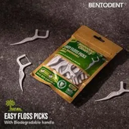 Bentodent Toothpaste Biodegradable Dental Floss Picks- 30 Pcs Triple Cleaning Action image 1