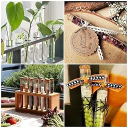 VVS Borosilicate Glass Test Tube, (Polypropylene Tast tube stand-1) - Set of-7 (6 test tube) (15x125) For Lab Laboratory, School, College And Professional use image 4