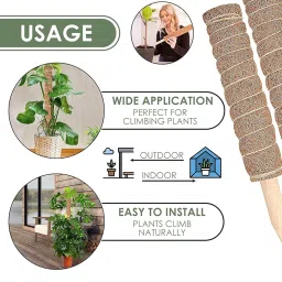 Garden Art Pack of 2 Moss Stick,Coir Pole GACP-45 | 45cm Long for Plants Monstera, Coco Coir Moss Poles for Climbing Plants/Creepers | Plant Support Extension to Grow Upwards image 2