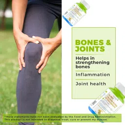 Haleup Calcium AKG Supplement with UC-II collagen | Calcium Alpha-Ketoglutarate for Cellular Energy, Bone Strength, Muscle Recovery (4 pack X 30s count) image 2