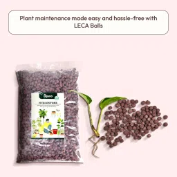 Ugaoo LECA Balls for Plants 1.8 kgs/ 6 Liter- Clay Balls for Plants, Hydroponics and Soilless Gardening-Improves Plant Growth, Aeration, and Drainage (Size: 8-15 mm) image 2