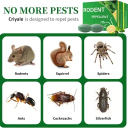 Rat Repellent for Car Mouse Peppermint Oil to Protect Wires in Car, Bike & Truck Engine No Kill Only Repels Home Indoor-Outdoor Garage Rat Controller Pills to Keep Rodents Out of Car (pack of 1 (10 tablet)) (Pack of 2(20 tablet)) image 2