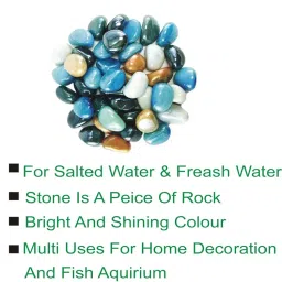 1st Time Décor Pebbles/Stone for Home Decoration, Pots, Garden, Showcase, Plant Vase, Multicolor, WT. 450 gm- S9 image 1