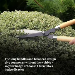 TrustBasket Heavy Duty Garden Shear – (4.5 mm Think, 7 inch Long, Metal Blade) Comfortable Grip for Trimming, Pruning, Cutting, Hedge Cutter Tool for Lawn, Hedge Trimmer for Garden image 5