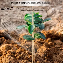 EXALT® 2 feet Premium Natural Teak Wood Plant Support Sticks - Garden Sticks for Straightening Training and Supporting Plants - Strong and Durable Solution for Healthy Growth (15 pcs) image 3