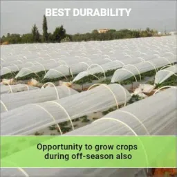 Crop Cover Tunnel Stick 10 Feet Plastic Wire FRP Rod 5mm Pack of (25) image 1