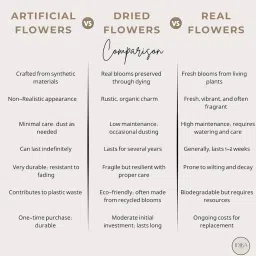 IDIKA Living Curly Palm Open Dried |Bunch of 25 Stems |Leaves for Home Decor & Floral Arrangements | Natural, Golden & Shiny | Perfect for Vases, Bouquets & DIY Crafts(Golden) image 5