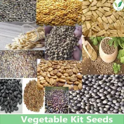Iagrifarm NSC Make Vegetable Seed Kit - More then 5000 Seeds from 14 varieties of Vegetable Seed For Terrece Gardening image 3