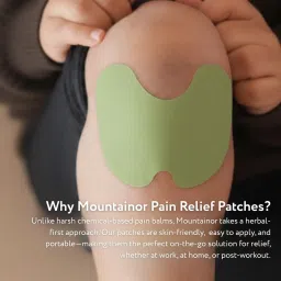 Mountainor Herbal Pain Reilef Patches Arthritis Inflammation Patch Sticker Helps Joint Knee Pain Relief Products Natural Wormwood Extract Patch for Knee (20 Piece) image 1