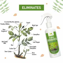 GREENFINITY Plant Defence Neem Oil Spray 200ML For Indoor & Outdoor Plants|Fortified With 7 Effective Essential Oils | Removes Mealybugs, Wide Range Of Garden Pests & Fungus | 200 ml image 4