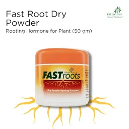 DIVINE TREE Sprout It & Fast Roots |Seeds Starter Germination Soil Potting Mix Soil Helps to Grow Plant & Rooting Dry Powder Hormone for Plant Grow by Cutting(Combo Pack of 2) image 1