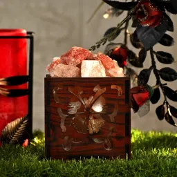 Air show Butterfly Himalayan Rock Salt Lamp for Positive Energy, Vastu, Healing, Harmony, Purification, Best Wellness((Size ''4x3.5'') image 3